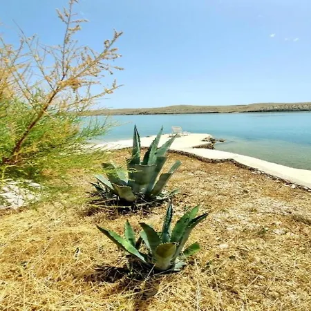 In Dinji Ka By The * Dinjiška