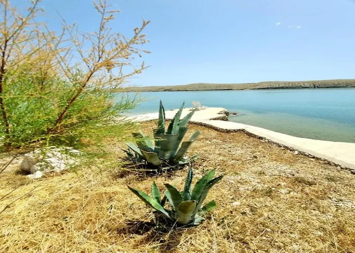 In Dinji Ka By The * Dinjiska